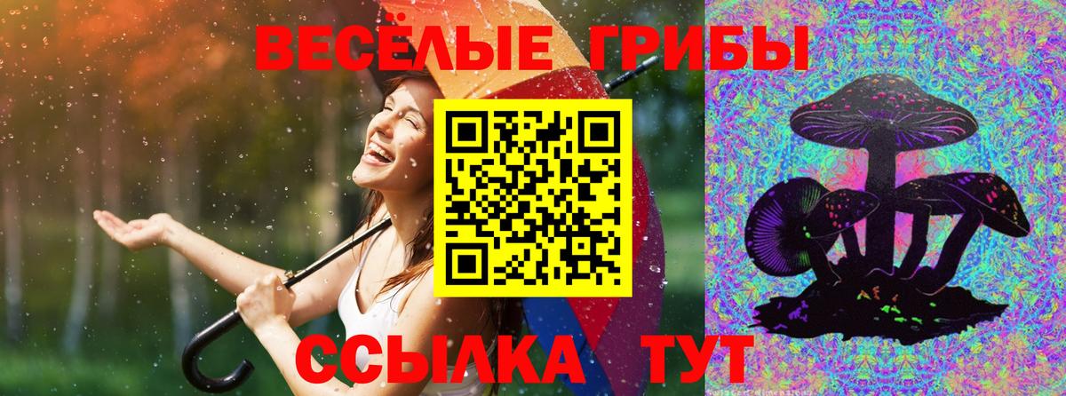 Галлюциногенные грибы Magic Shrooms  Псилоцибиновые грибы мухоморы  Дальнегорск  Вход с VPN 